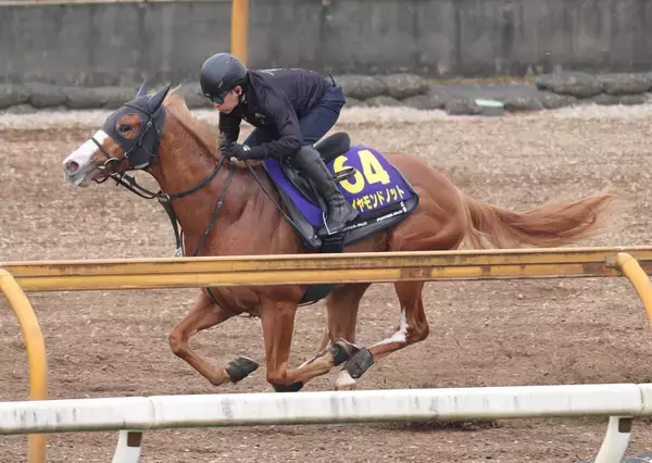【ＮＨＫマイルＣ・１週前】「ガス抜きができた」Ｇ１・２着馬ダイヤモンドノットはラスト１１秒２　福永調教師の感触は？