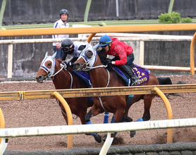 【安田記念・１週前】ウォーターリヒトはメイショウタバルに首差遅れも上々の時計　石橋調教師「あんなに動くとは思わなかった」
