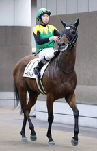 【２８日の注目・函館６Ｒ】シーガルワールドが初勝利へ　兄タイトルホルダー、姉メロディーレーンの良血馬