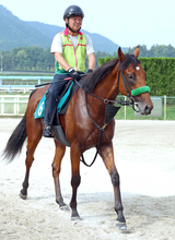 ジャスティンミラノの半弟「仕上がっている」ジャンゴッド５日小倉５Ｒデビュー