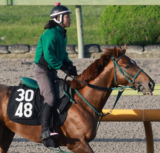 【注目馬動向】アーレムアレスは武豊騎手と新コンビを結成　７月１８日の函館・１勝クラスへ