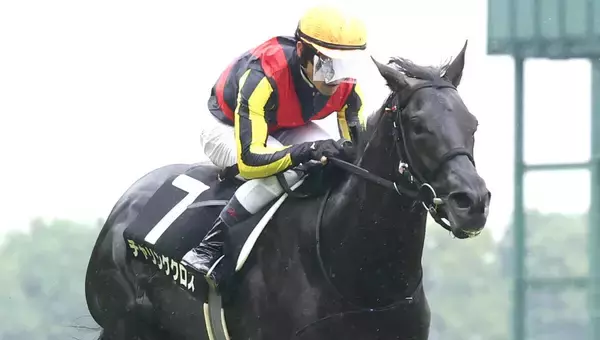【日本海Ｓ・金曜気配】クロワデュノールの全弟チャリングクロスが登場　陣営「菊花賞を目指せるようになれば」