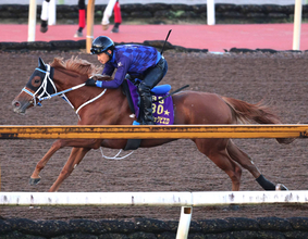 【注目馬動向】馬体３０キロ増でパワーアップ！ジュウリョクピエロはラスト２ハロン１１秒台連発　来週から今村聖奈騎手騎乗