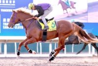 【香港スプリント】ウインカーネリアンは三浦皇成騎手にお任せで絶好調　鹿戸調教師「体調に関しては文句ない」