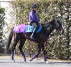 【アメリカＪＣＣ】菊花賞１４着から巻き返しを狙うショウヘイは５枠９番　ルメール騎手騎乗のドゥラドーレスは７枠１４番