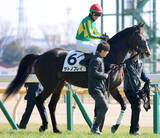 「【東京５Ｒ・３歳新馬】上がり最速タイ３３秒５繰り出すも１番人気サトノフレイは３着　戸崎圭太騎手「能力は感じました」」の画像1