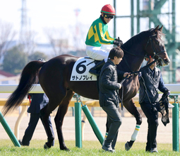 【東京５Ｒ・３歳新馬】上がり最速タイ３３秒５繰り出すも１番人気サトノフレイは３着　戸崎圭太騎手「能力は感じました」
