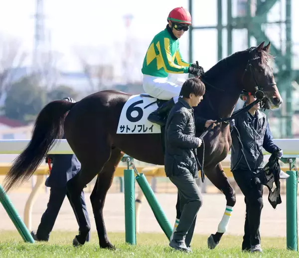 【東京５Ｒ・３歳新馬】上がり最速タイ３３秒５繰り出すも１番人気サトノフレイは３着　戸崎圭太騎手「能力は感じました」