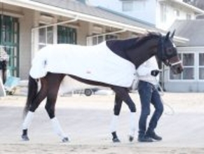 【フェブラリーＳ】ダブルハートボンドはラッキーナンバーの９番枠　大久保調教師「いいんじゃないですか、真ん中で」