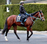 「【マーガレットＳ】アスミルはスプリンターの素質あり　陣営「１２００メートルでも速さ負けしない」」の画像1