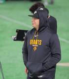 「【セパ公示】（１１日）巨人がマタを登録、若林楽人を抹消　西武はラミレス、外崎修汰を抹消」の画像1