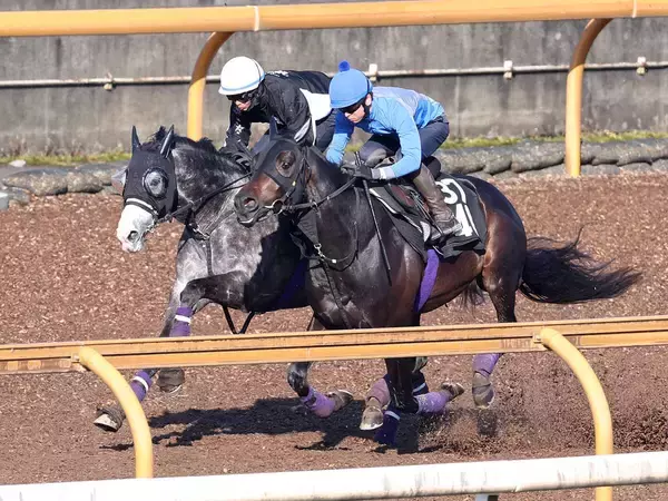 【天皇賞・春・２週前】武豊騎手とＧ１制覇へ　アドマイヤテラが好時計　友道調教師「言うことないですね」