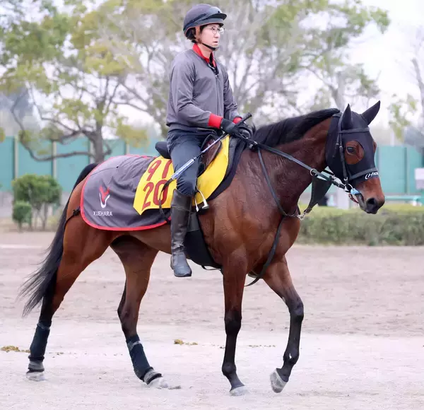 【注目馬動向】兵庫女王盃２着のプロミストジーンは武豊騎手とのコンビ継続でエンプレス杯へ