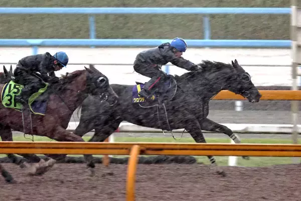 【宝塚記念・１週前】暴風雨にも負けず！クロワデュノール、春古馬３冠へ向けパワフルな走り