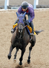 【府中牝馬Ｓ】１番人気はヴァルキリーバースで３・０倍　コガネノソラが６・１倍で続く　オッズ速報