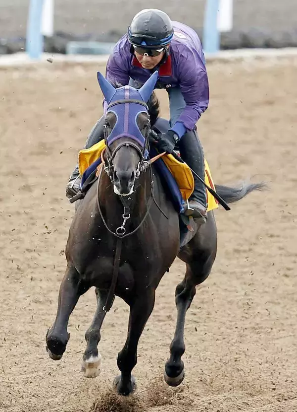 【府中牝馬Ｓ】１番人気はヴァルキリーバースで３・０倍　コガネノソラが６・１倍で続く　オッズ速報