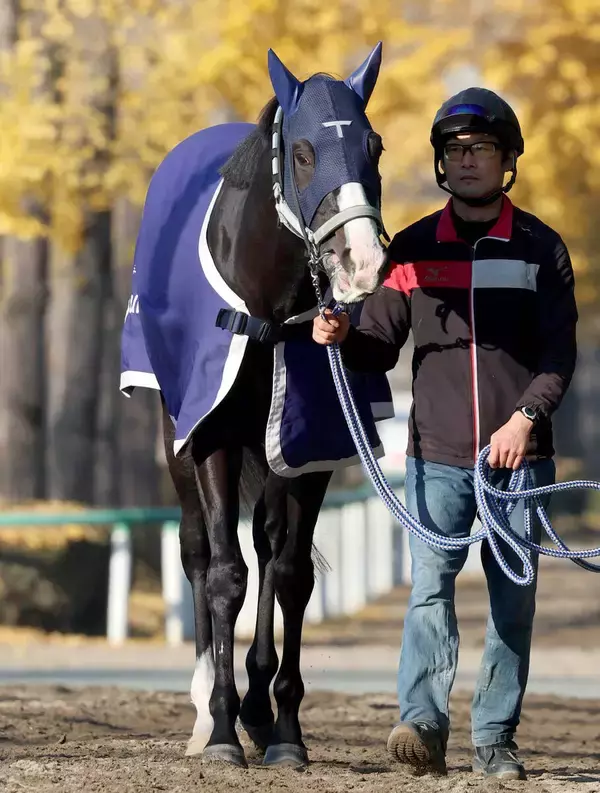 【注目馬動向】天皇賞・秋を制したマスカレードボールがドバイ２競走に予備登録　次走は大阪杯を含めて検討