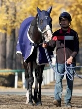 【注目馬動向】天皇賞・秋を制したマスカレードボールがドバイ２競走に予備登録　次走は大阪杯を含めて検討