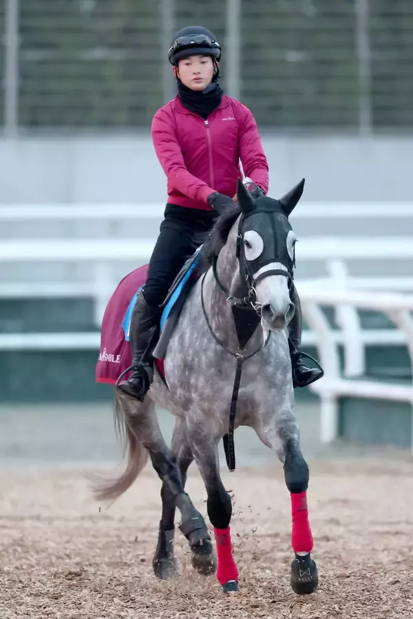 【注目馬動向】今週の日経新春杯に出走のヤマニンブークリエがサウジアラビアのネオムターフＣの招待を受諾