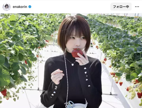 大人気コスプレイヤー「いちご狩り行った」　イチゴを食べるショットが「顔ちっちゃくていちごデカすぎんだろ状態」えなこ