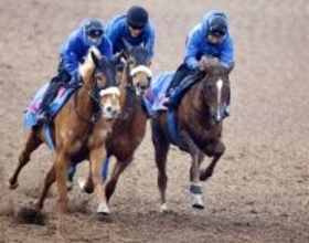 【クイーンＣ】定年間近“牝馬の国枝”が送り出すヒズマスターピースは動き上々「２、３番手で走れれば」