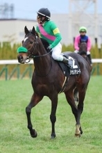 【小倉大賞典】タガノデュードが重賞初Ｖ　古川吉洋騎手「（藤岡）佑介と最後だったんで、抜かしてやろうと…」