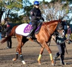 【金鯱賞】巻き返し必至！？アーバンシックの前走・香港ヴァーズは想定外が多く…武井調教師「（前走は）度外視したい」