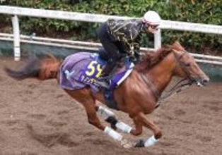 【大阪杯】ダノンデサイルは坂路で整えて万全の態勢　安田調教師「経験を生かして、もちろんいい結果を」