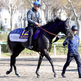 「【皐月賞】一気に覚醒！？きさらぎ賞馬のゾロアストロに底知れぬ可能性　宮田調教師「もう１つスイッチがあるのでは」」の画像1