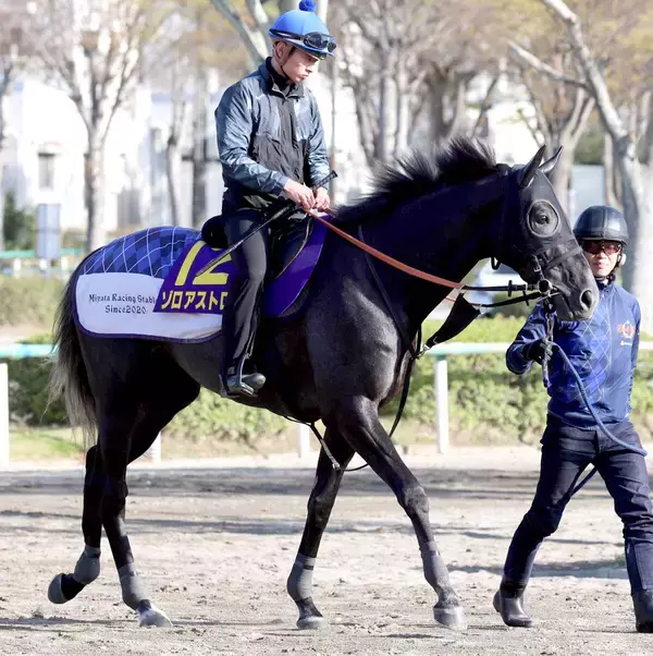 【皐月賞】一気に覚醒！？きさらぎ賞馬のゾロアストロに底知れぬ可能性　宮田調教師「もう１つスイッチがあるのでは」