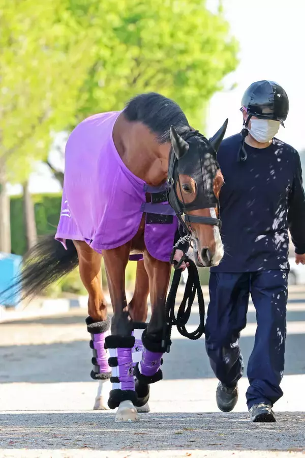 【皐月賞】報知杯弥生賞３着アドマイヤクワッズが大一番の地に到着　陣営「状態は右肩上がりです」