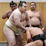「大関・安青錦、左足小指骨折は順調に回復　先場所は初の負け越し　夏場所はカド番も「次に向けてやるしかない」」の画像1