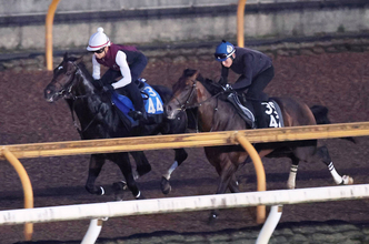 【新潟記念・１週前】初の重賞Ｖへダノンシーマが力強い伸び脚　陣営「ここまで順調に乗り込めている」