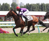 「【注目馬動向】武豊騎手とのコンビで新馬快勝のヴァンクライは萩Ｓを視野」の画像1