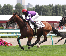 【注目馬動向】武豊騎手とのコンビで新馬快勝のヴァンクライは萩Ｓを視野