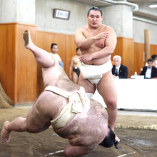 右膝手術の豊昇龍、横審稽古総見で相撲は取らず「ここで悪化したらもう終わりなので」　秋場所出場可否は熟考…１３日初日