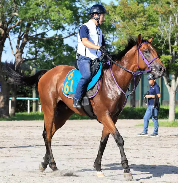 【今週のトク注新馬】ディープボンドの半弟サトノアニマは１３日中山デビューへ　鹿戸調教師「お兄さんくらいに…」