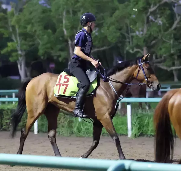【ＰＯＧ】Ｇ１馬が近親にいるタンタトリスが初戦から面白い　矢嶋調教師「スタミナで勝負するタイプ」