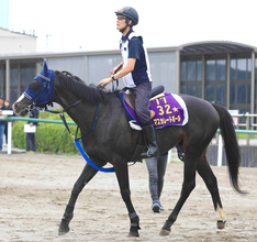 【注目馬動向】マスカレードボールが天皇賞・秋連覇へ今日１０月６日に帰厩　僚馬の毎日王冠７着リアライズシリウスは同レースで反撃へ