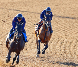 【秋華賞・１週前】底を見せていない素質馬カナルサンマルタンが 好時計　宮田師「加速する脚は素晴らしい」