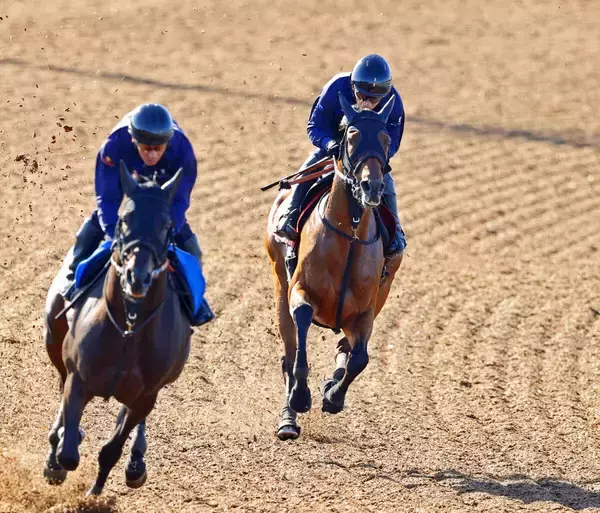 【秋華賞・１週前】底を見せていない素質馬カナルサンマルタンが 好時計　宮田師「加速する脚は素晴らしい」