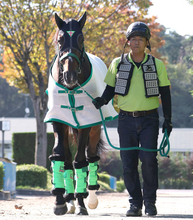 【天皇賞・秋・土曜気配】「ここまで勝っているのが７、８枠。プラス思考で」外枠巧者のジョバンニが一発狙う