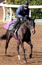 【きさらぎ賞】５・９億円馬エムズビギンはポリトラックで軽快　友道調教師「走りのバランスが良くなった」