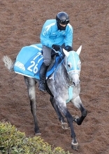 【注目馬動向・古馬】ダイヤモンドＳ３着のブレイヴロッカーは日経賞へ　京都記念１１着メイショウブレゲは阪神大賞典へ