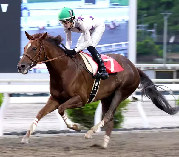 【高知・スピカ特別】ＧＯ！ＧＯ！スカンジナビア　高知移籍後に無双６連勝　井上瑛太騎手「一致団結して頑張りたい」