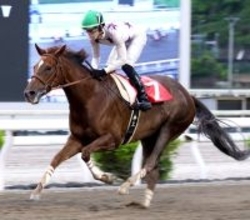 【高知・スピカ特別】ＧＯ！ＧＯ！スカンジナビア　高知移籍後に無双６連勝　井上瑛太騎手「一致団結して頑張りたい」