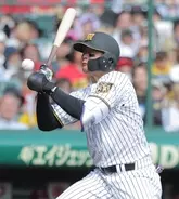 【阪神】森下翔太が左首付近に死球　甲子園騒然…ベンチ裏で治療後グラウンドへ
