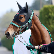 【注目馬動向】阪神ＪＦ、桜花賞で２着のギャラボーグが次戦予定のオークスを回避　右前肢にフレグモーネ発症のため