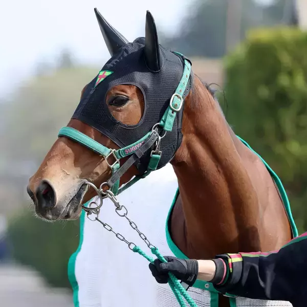 【注目馬動向】阪神ＪＦ、桜花賞で２着のギャラボーグが次戦予定のオークスを回避　右前肢にフレグモーネ発症のため