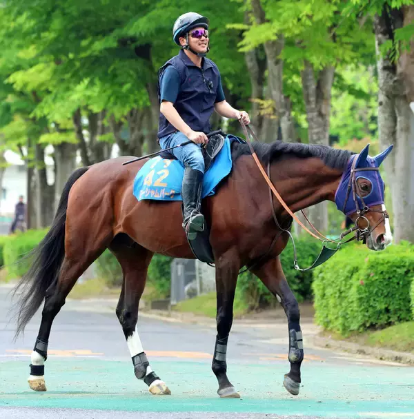 【香港チャンピオンズ＆チャターＣ】ローシャムパークが国内最終追い完了　田中博調教師「引き続き課題と向き合いながら...」